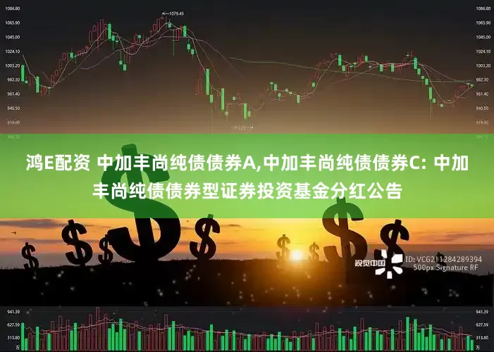 鸿E配资 中加丰尚纯债债券A,中加丰尚纯债债券C: 中加丰尚纯债债券型证券投资基金分红公告