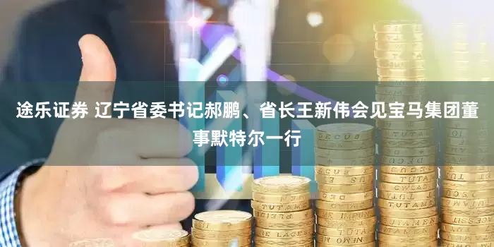 途乐证券 辽宁省委书记郝鹏、省长王新伟会见宝马集团董事默特尔一行
